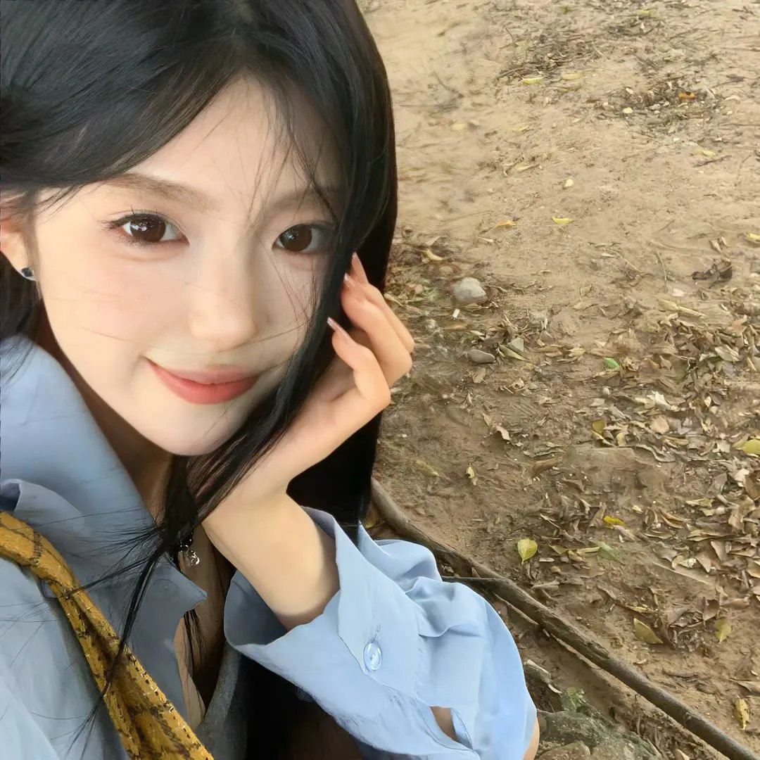 野狗们