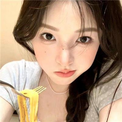 总统班底